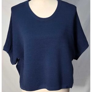 Aritzia Babaton Short Sleeve Sweater Blue Knit Dolman Sleeve